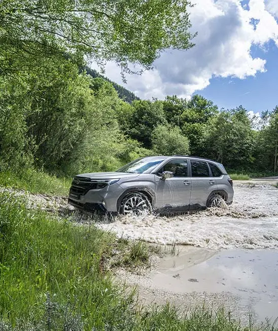 A river rock pearl Subaru Forester by the water’s edge