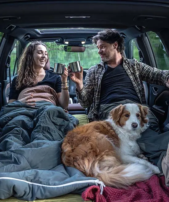 A river rock pearl grey Subaru Forester with a man and woman with a dog