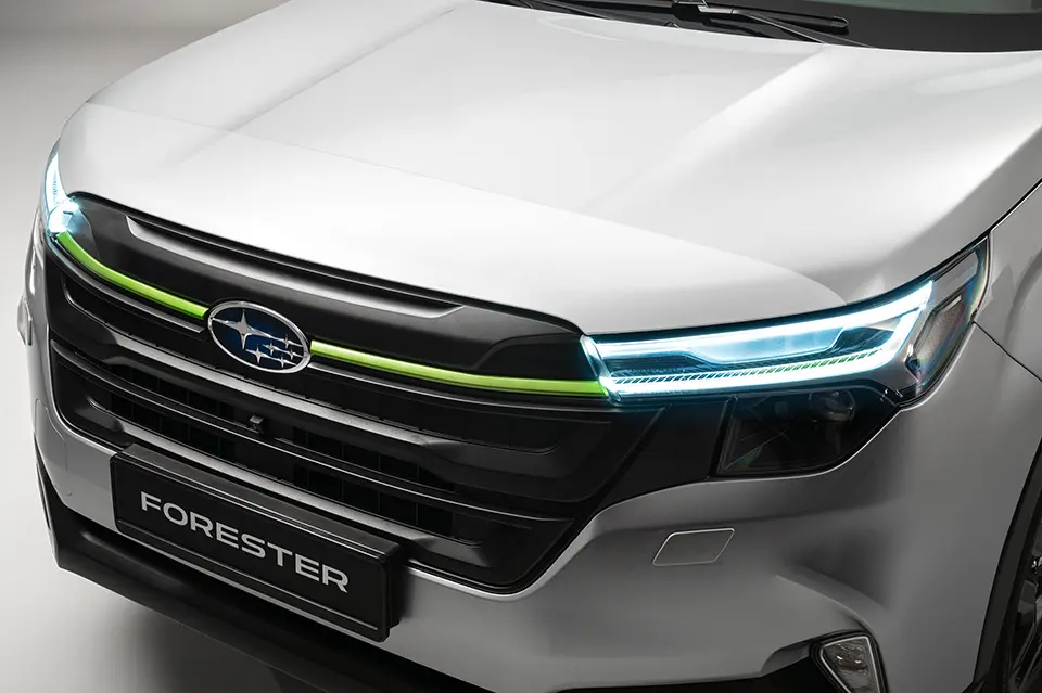 Bonnet Protection Foil - image