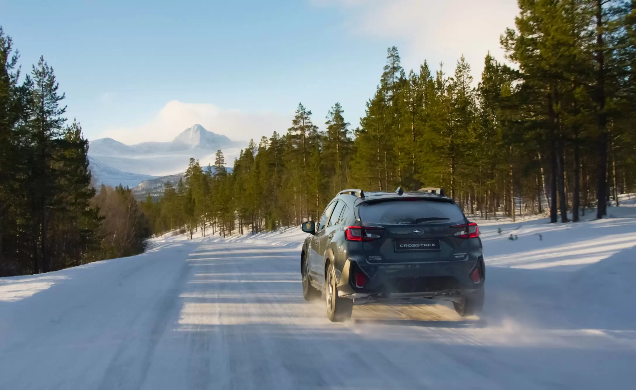 Winter-Check-Page-Image1