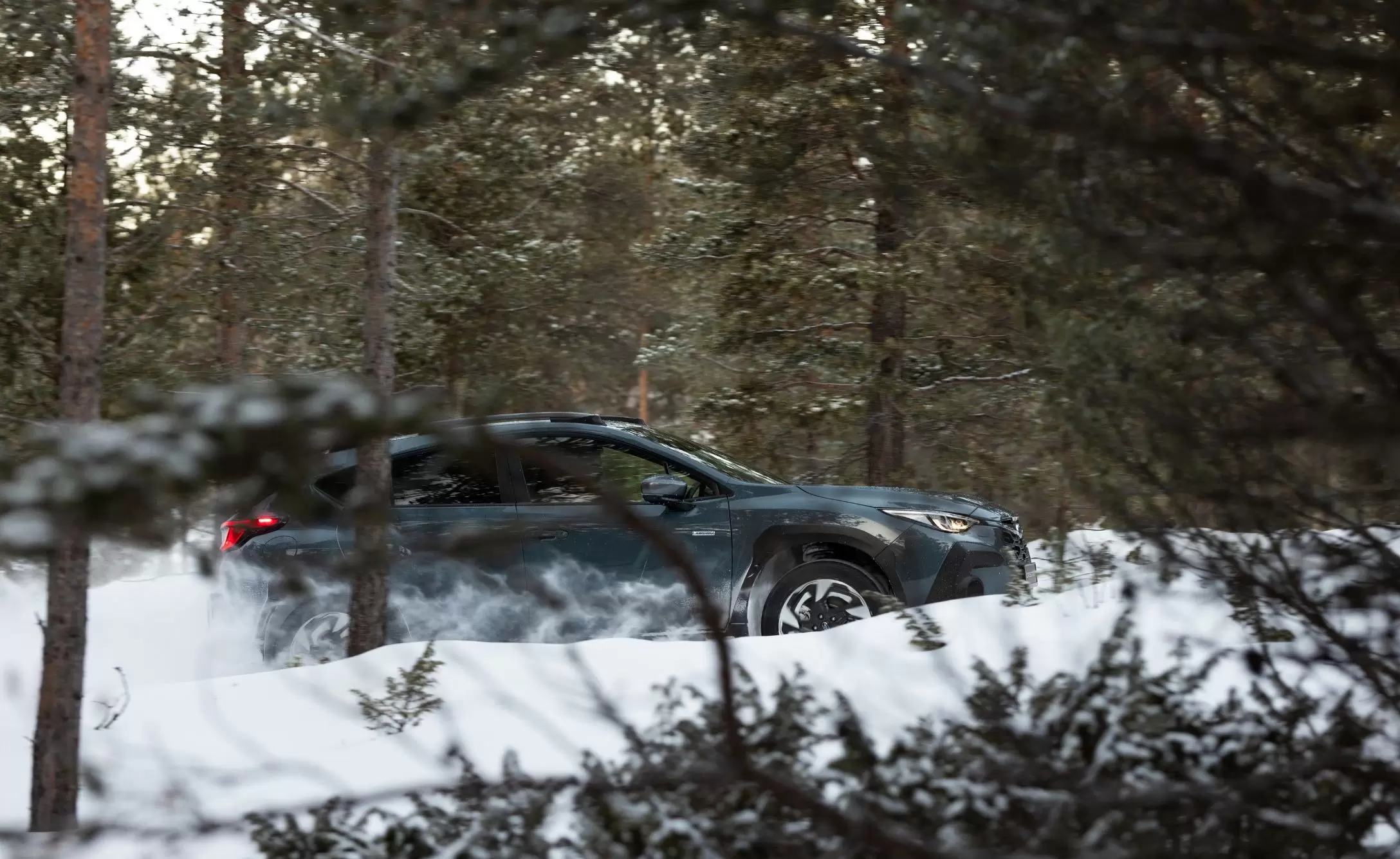 Winter-Check-Page-Image2