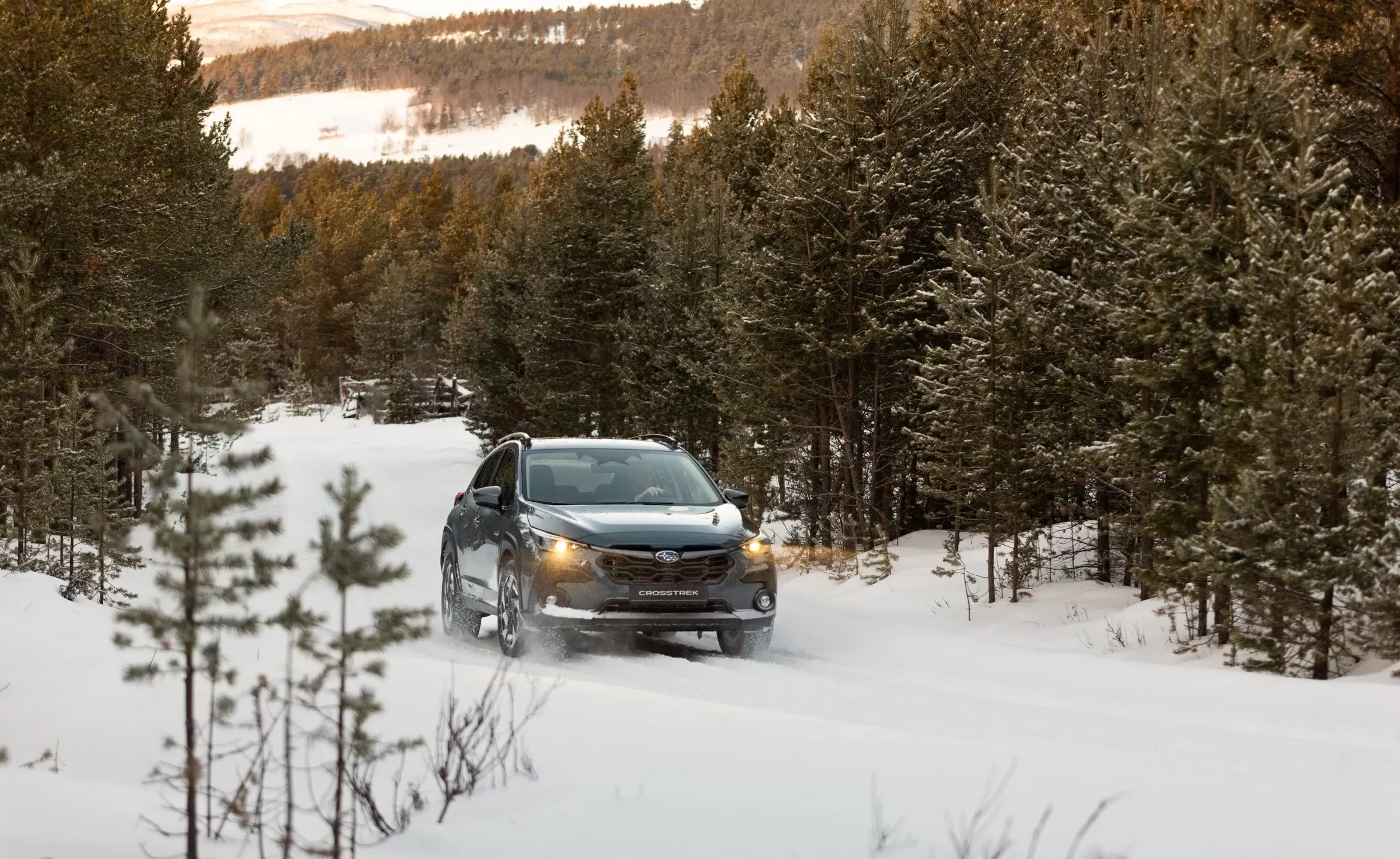 Winter-Check-Page-Image3