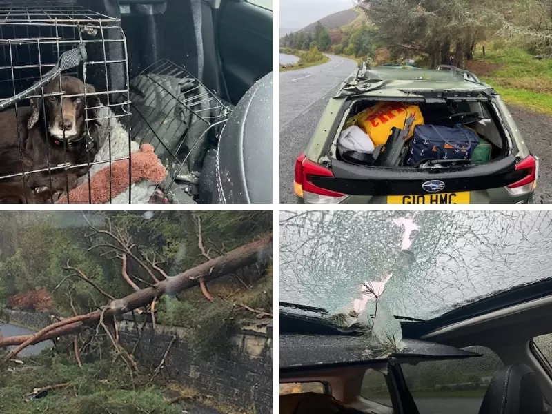 Subaru Forester saves a family during storm Babet