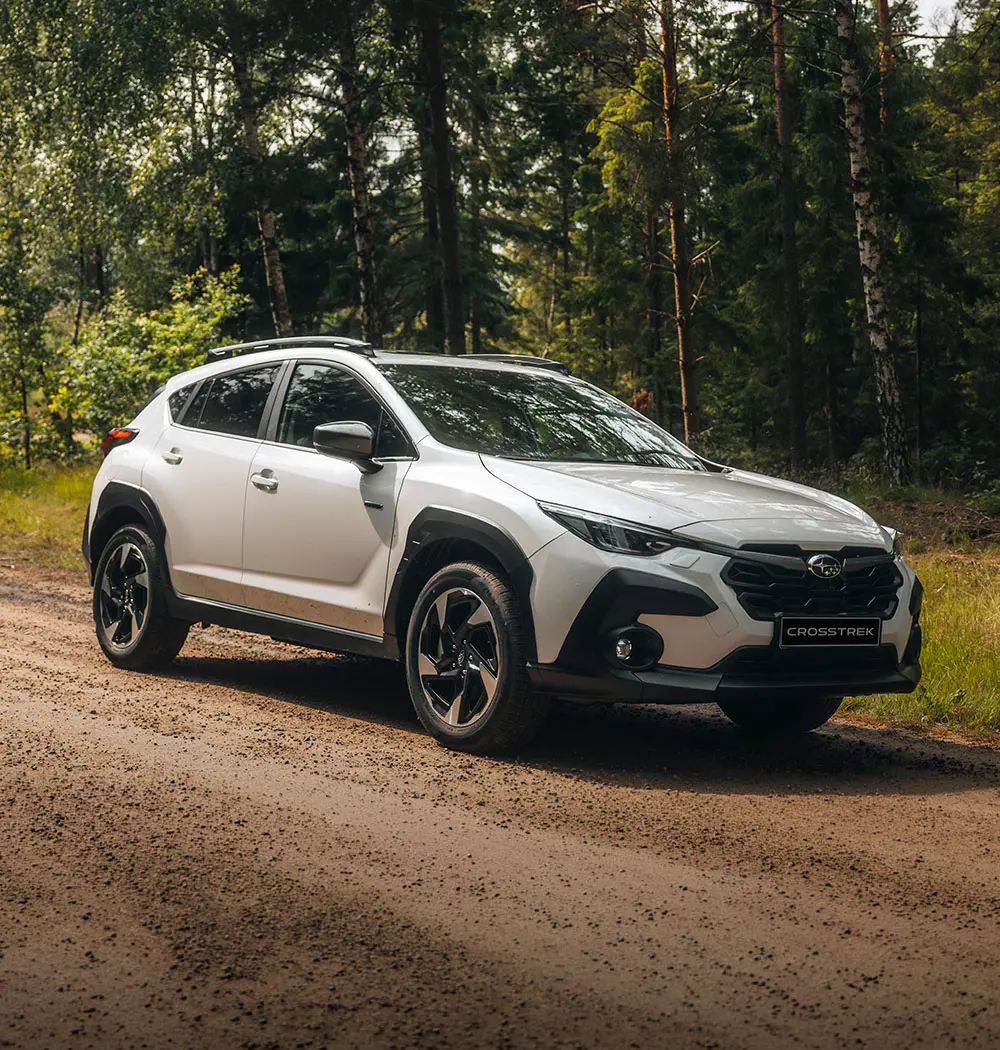 Sand dune crosstrek square