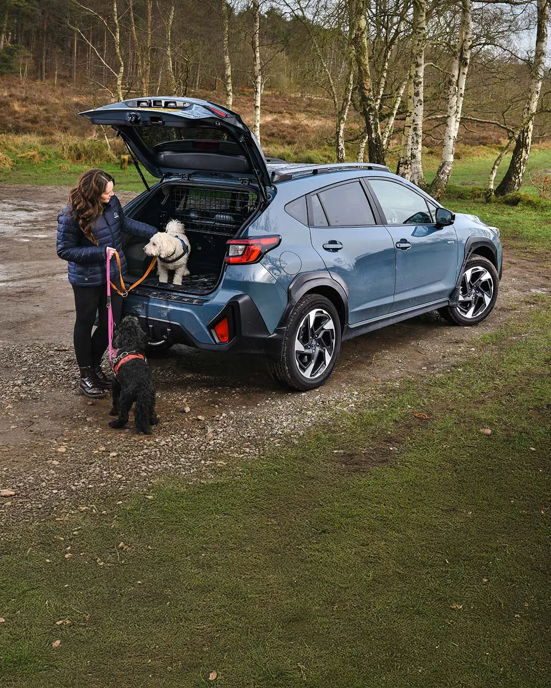 Test Drive With Your Dogs, Today!