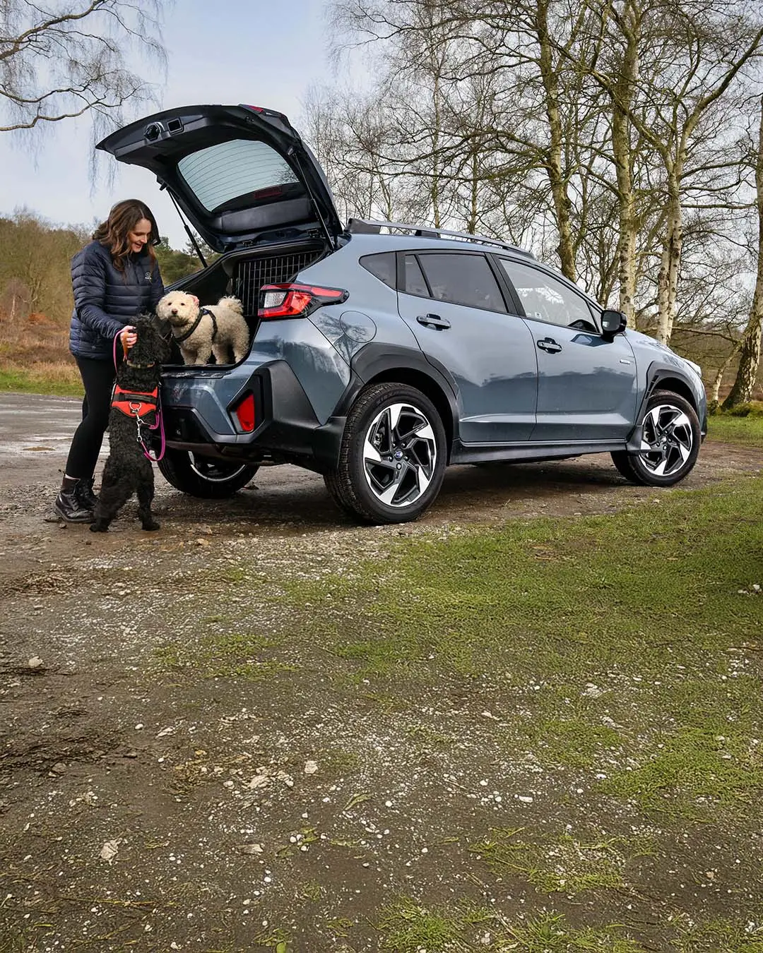 Subaru Helps Owners Travel Safer with Their Pets