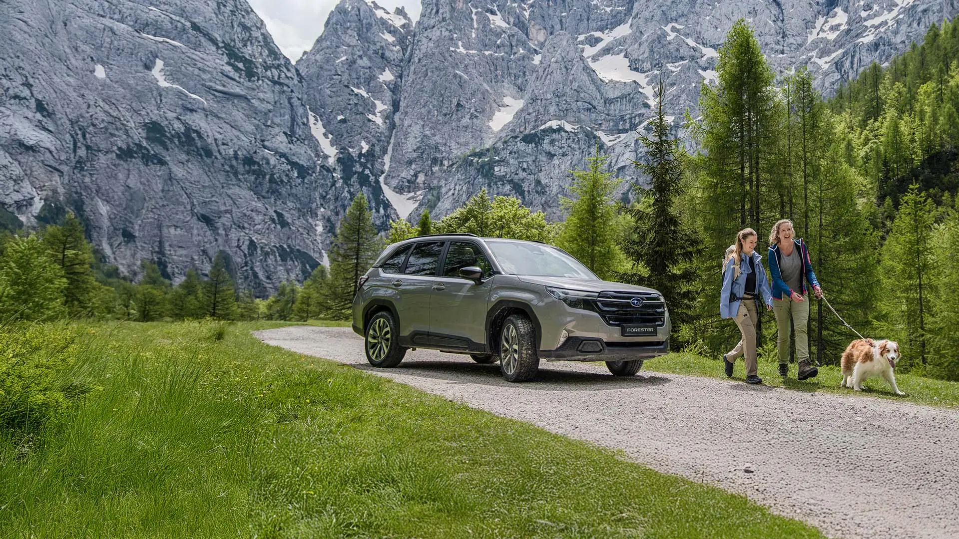 national_dog_day_hero_banner