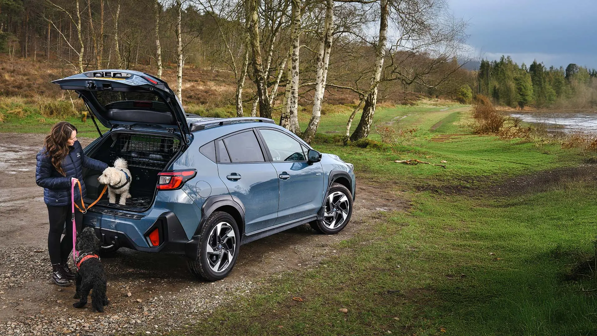 Test Drive With Your Dogs, Today!