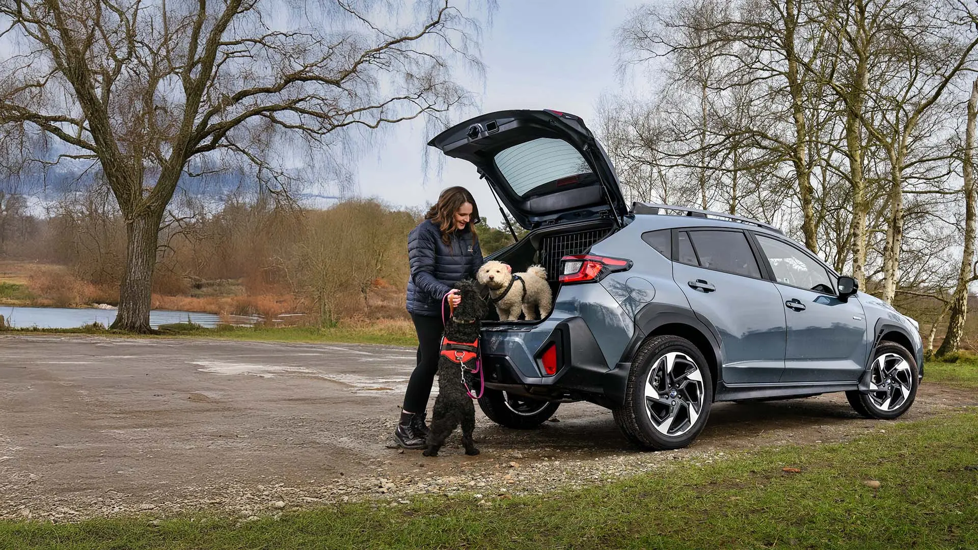 national_dog_day_hero_banner_4