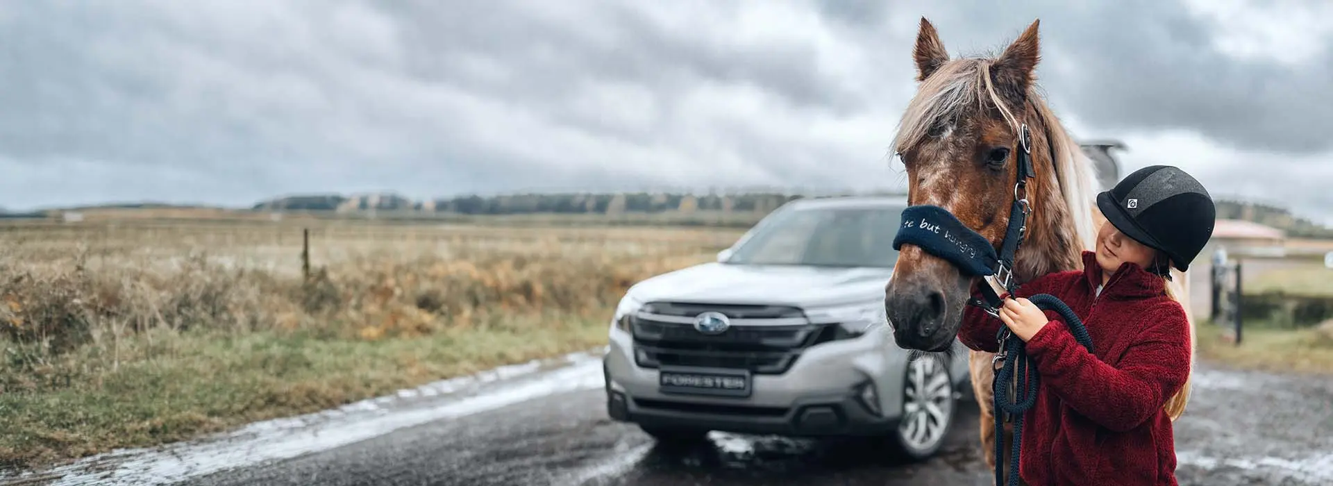 Explore the Subaru Forester