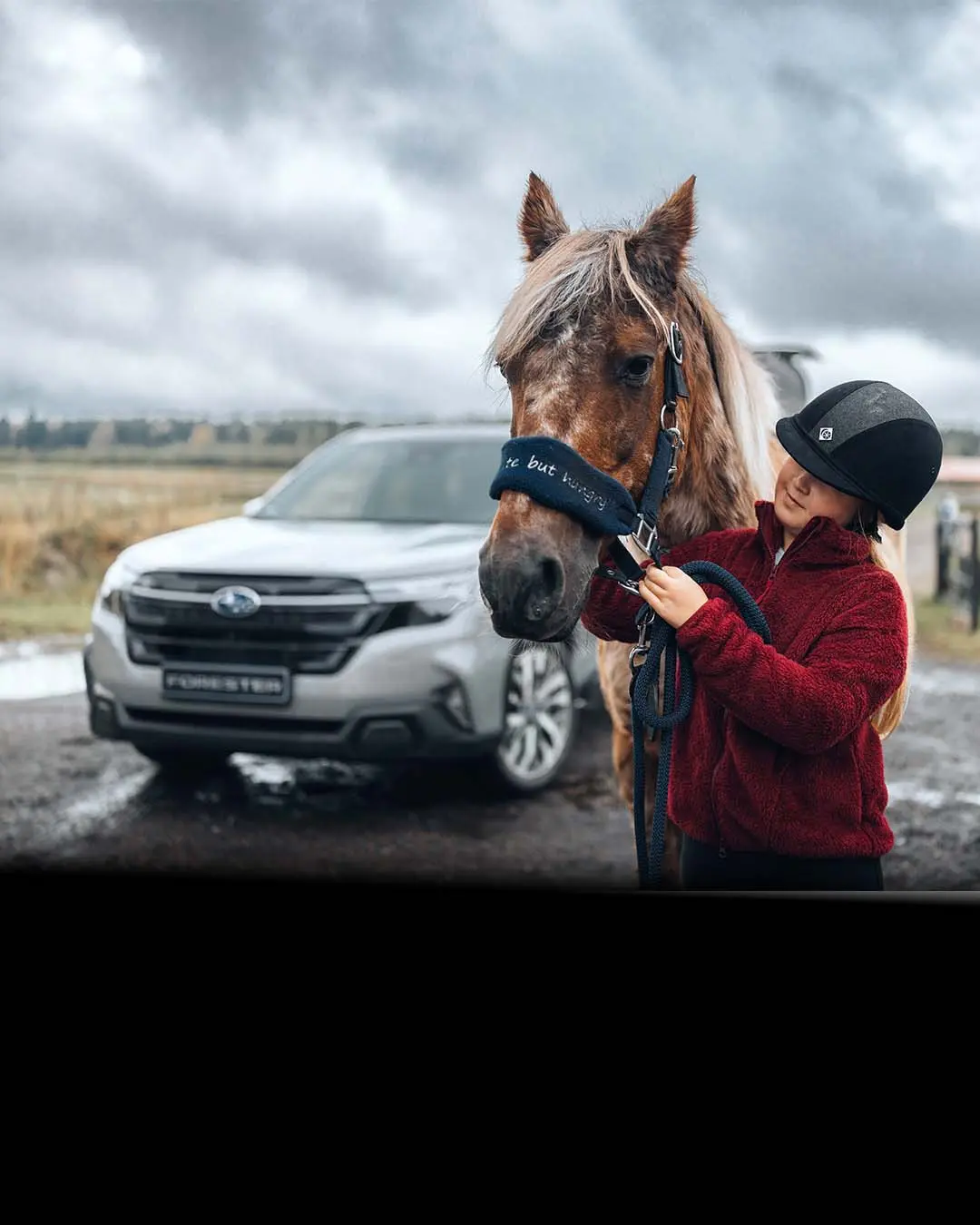 Explore the Subaru Forester