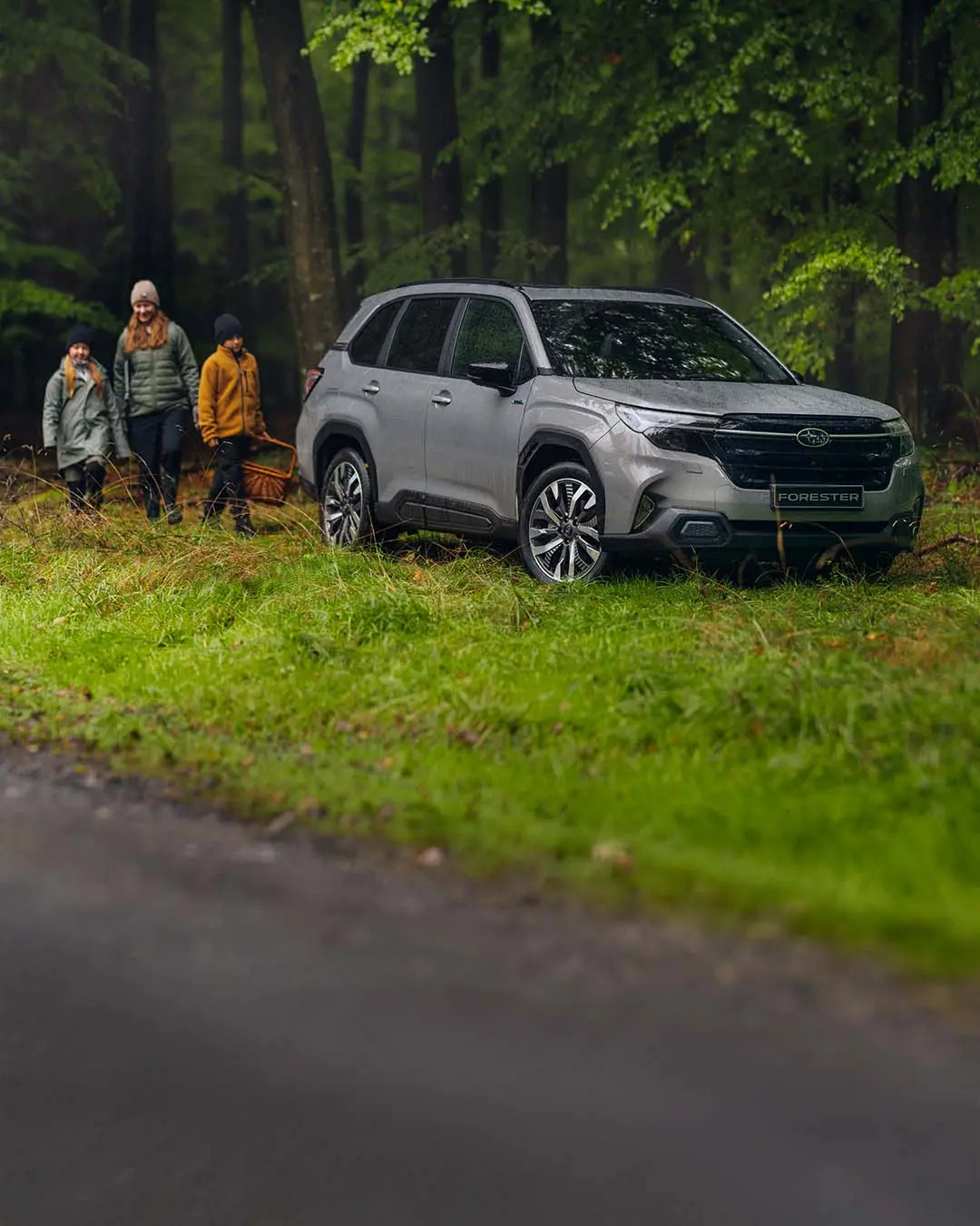 Explore The Subaru Forester