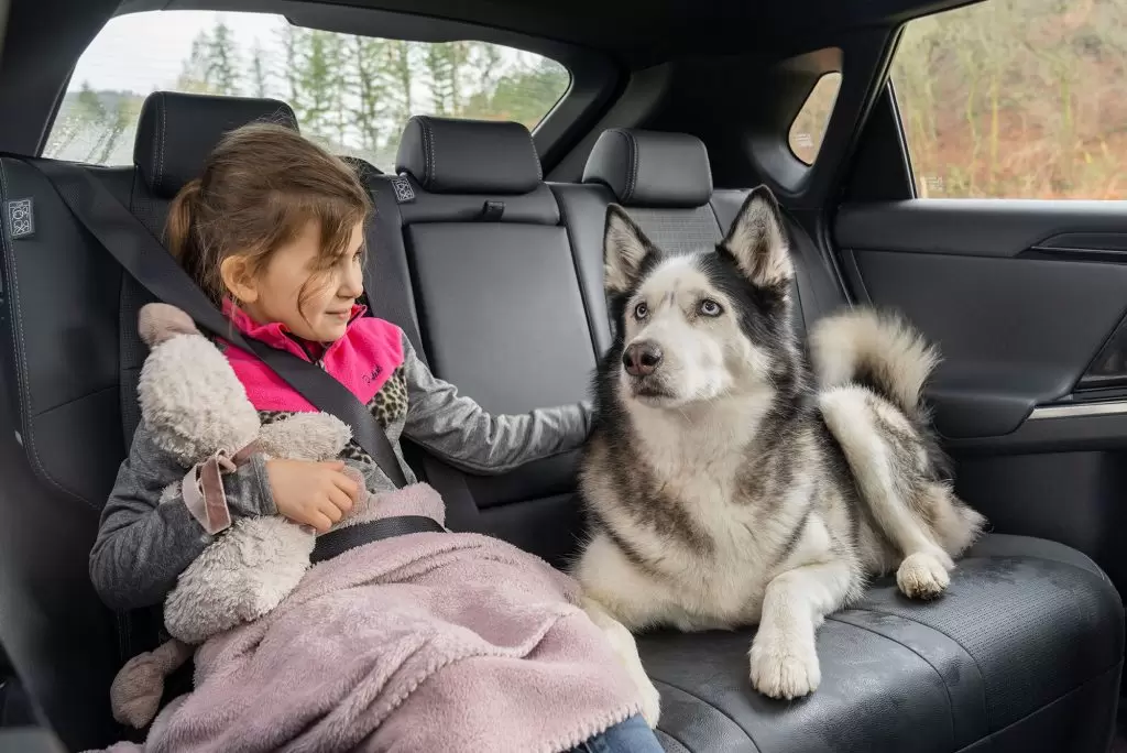 Family SUV cars with premium, spacious interiors
