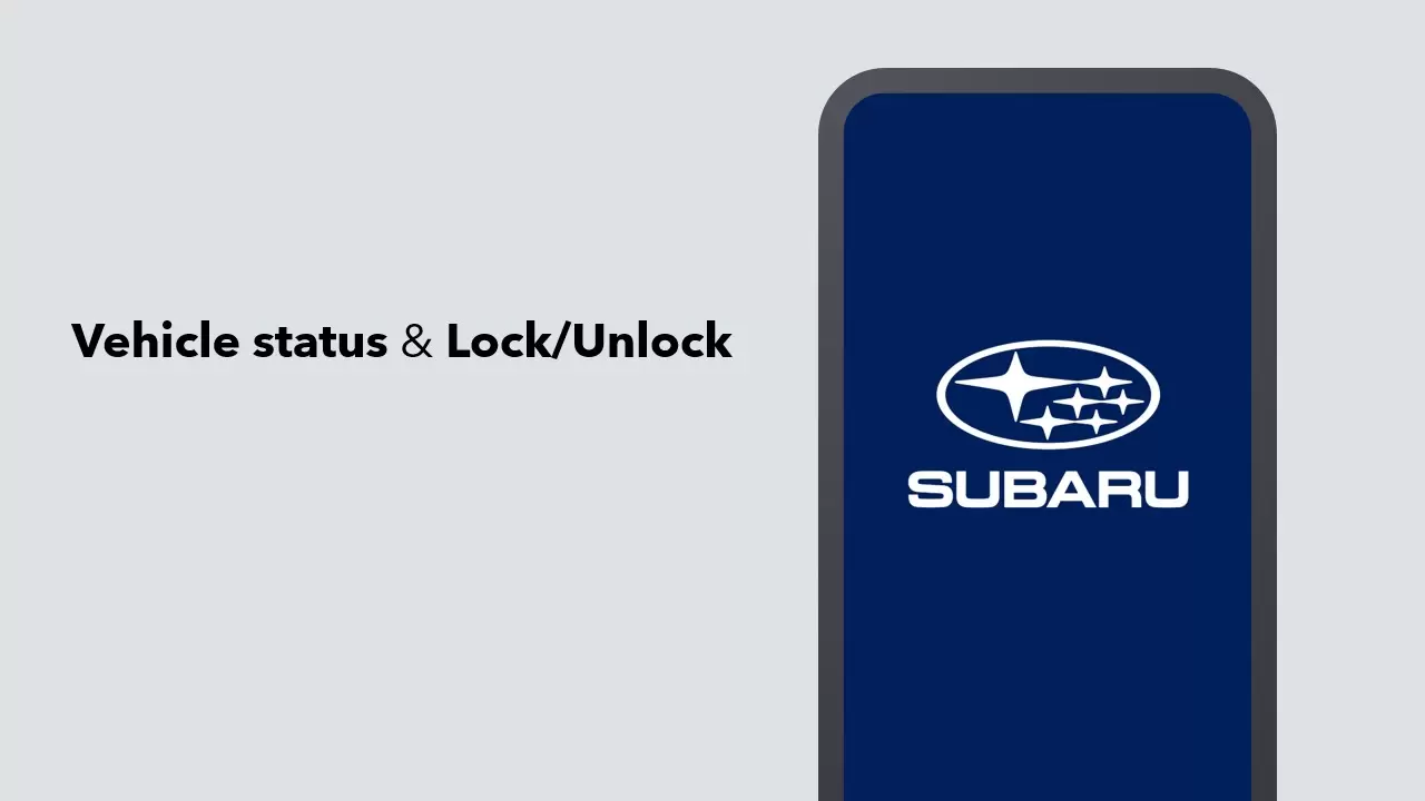 Vehicle Status & Remote Car Lock